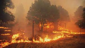 I … bienvenidos learn how to use mayo clinic connect community guidelines help center request an appointment i live in. Military Ready To Help Fight B C Wildfires As Feds Promise Further Response Globalnews Ca
