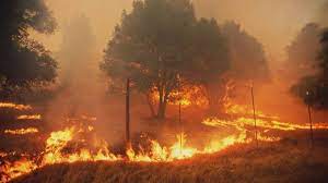 Just truly extreme fire behavior in british columbia today, vagasky said. Military Ready To Help Fight B C Wildfires As Feds Promise Further Response Globalnews Ca