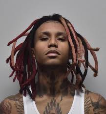 Recreate his look by splitting your hair into many. Ayoonei Free Lil Gnar Dyed Dreads Hair Styles Dreads