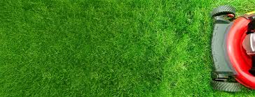 Maybe you would like to learn more about one of these? Noel S Landscaping And Maintenance Landscaping And Lawn Care Services In Bothell And Mill Creek
