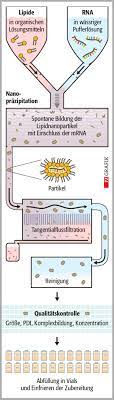 Trastornos intestinales severos, gangrena y sordera. Mrna Und Dna Impfstoffe Covid 19 Vaccine Mrna 1273 Von Moderna Pz Pharmazeutische Zeitung