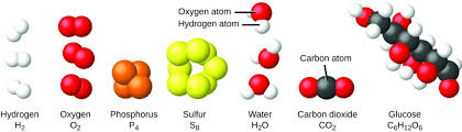 Here the authors show via a combination of graph theory and combinatorics with expert chemical knowledge the possibility to map very complex organic reactions. Phases And Classification Of Matter Chemistry Atoms First
