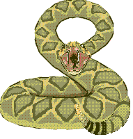 Meditation crystals yoga meditation ear reflexology holistic medicine emotional abuse life purpose spiritual awakening the creator prayers. Snake Gifs Tenor