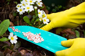 Check spelling or type a new query. What Is The Best Fertilizer For A Flower Garden Cromalinsupport