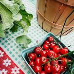 Farmers Market — Aledo Main Street