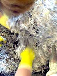 A Hypertufa Recipe That Uses Shredded Paper Instead Of Vermiculite And Peat Moss Hypertufa Concrete Crafts Papercrete