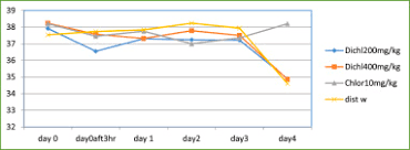 Image result for Gnidia stenophylla