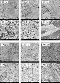 A comprehensive directory of food manufacturers, distributors and suppliers as well as the supporting industries in malaysia. Synergistic Effect Of Industrial And Bio Fillers Waterborne Intumescent Hybrid Coatings On Flame Retardancy Physical And Mechanical Properties Sciencedirect