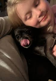 Cute pug named Jasmine being lazy and adorable