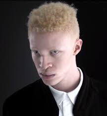 CINEMATOGRAPHER — Austin S. Winchell