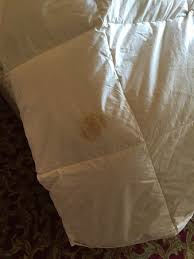 Book hotel imperiale, rimini on tripadvisor: Holiday Inn Rimini Bild Von Hotel Imperiale Rimini Tripadvisor