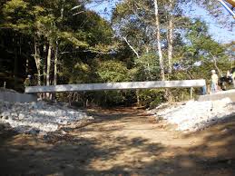 Project Management (from a client's POV)