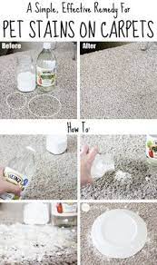 And of course, always test a small area of. 13 Best Diy Carpet Stain Remover Ideas Cleaning Household Cleaners Homemade Cleaning Hacks