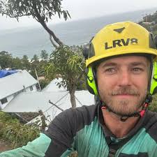 Nathan Ames (@nathan_ames_tree_solutions) · Instagram photos and Reels