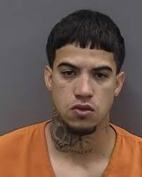 Driver arrested after killing man in Pinellas Park, police say