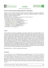 Image result for Bothriocline