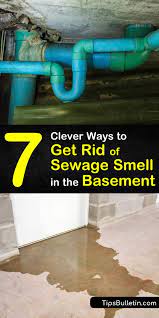 7 Clever Ways To Get Rid Of Sewage Smell In The Basement Basement Odor Sewer Gas Smell Sump Pump