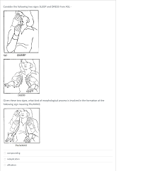 This is a video of me signing examples of how to pluralize nouns in asl. Solved Question 2 1 Pts A Person Who Can Sign Asl And Read Or Speak English Is Bilingual O True O False D Question 3 1 Pts Since Many Signs In A Course Hero