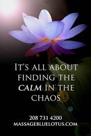 Pingback:inspirational horse racing quotes | horse training course & buying guide. Its All About The Calm In The Chaos Www Massagebluelotus Com Massagetwinfalls Daily Motivational Quotes Positive Affirmations Inspirational Quotes