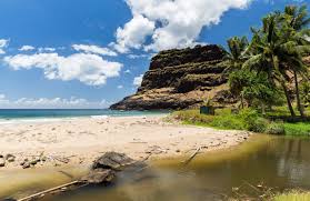 L'homme a également introduit des chiens, des chevaux, des chèvres, des ovins ainsi que les rats, les moustiques et les scorpions. Reva Dreams Travel Agency Beitrage Facebook