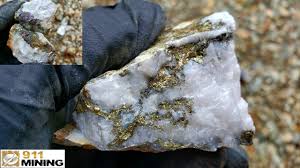 Find out your desired gold quartz with high quality at low price. Insanely High Grade Gold Quartz Samples From A New Logging Road Cut Youtube
