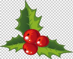 All png & cliparts images on nicepng are best quality. Holly Christmas Decoration Png Clipart Aquifoliales Atmosphere Christmas Decorations Christmas Frame Christmas Lights Free Png Download
