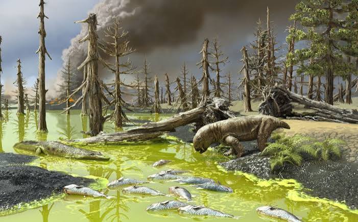 Animals Died in 'Toxic Soup' During Earth's Worst Mass Extinction, a  Warning for Today - UConn Today