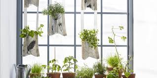 Retrouvez une selection de produits indispensables a moins de 5 10 et 15. Plantes Suspendues Un Diy Ikea Pour Faire Une Jardiniere Murale Marie Claire