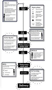 If you have a positive pregnancy test, you can choose to just see a midwife, so if you contact your gp surgery, they can put you straight in touch with midwifery services to arrange your 1st. Prenatal Appointments When To See A Doctor When Pregnant Life Of Dr Mom