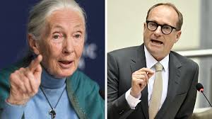 Antropoloog Jane Goodall richt zich tot Ben Weyts in filmpje van GAIA:  'Stop met het houden en kweken van dolfijnen in gevangenschap'