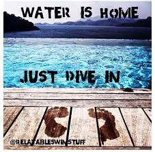 Water Is Home Just Dive In Swimming Quotes Swimming Quotes Swimming Memes Swimming Motivation