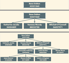 Omnigraffle Filemaker Building An Org Chart