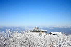 Sesaat ketika aku berjalan di festival bunga tahun ini, aku dikejutkan oleh bunga itu. Mau Mengunjungi Korea Selatan Pilih Musim Musim Terbaiknya