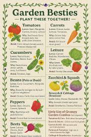 Companion Planting in the Vegetable Garden – Feral Flavors