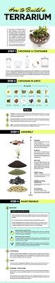Beautiful Diy Glass Terrarium Ideas A Guide On How To Make Terrarium Maintenance Succulent Garden Diy Diy Garden Projects Terrarium Diy