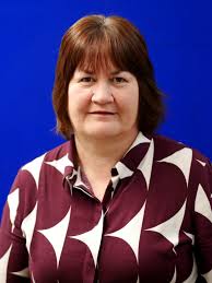 Who are the Senior Management Team?