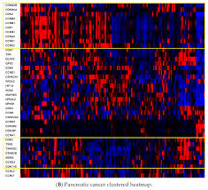 If you have active pancreatic cancer, you need the knock out the cancer protocol below. Pharmaceuticals Free Full Text Cyclin Dependent Kinase And Antioxidant Gene Expression In Cancers With Poor Therapeutic Response Html