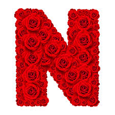 Download amazing p love n name (letter) dp, wallpaper, images, pics, photos in one click. Rose Alphabet Set Alphabet Grossbuchstabe K Aus Rot Aus Rosenbluten Auf Weissem Hintergrund Lizenzfreie Fotos Bilder Und Stock Fotografie Image 51680265