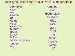 Check spelling or type a new query. English Morphology Morphology The Branch Of Grammar Which
