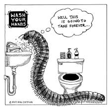Over the years we've learned that often times a small pest problem is the sign of something bigger. Gardens Pest Control Home Facebook
