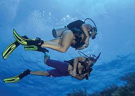 Padi Master Scuba Diver Sea Experience Ft Lauderdale Fl