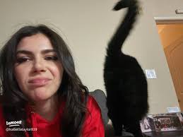 Cute Polymer Clay Creations: Pinky, Bubbles, Zippy & Chuckles