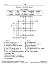 A small bone in the lower leg 10. Bones Crossword Lesson Plans Worksheets Reviewed By Teachers