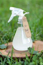 Check spelling or type a new query. Diy Homemade Bug Spray Repellent Live Simply