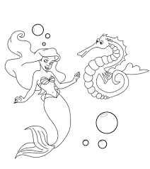 Sea horse, shells, pattern, coloring book, page, vector. Top 10 Free Printable Seahorse Coloring Pages Online