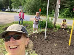 Native plant pollinator garden planting