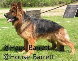 Justice barrett, 48, who has seven children, will be the current court's youngest member, its third woman, its sixth catholic and its only jurist from outside the ivy league. Haus Barrett House Barrett Home Facebook