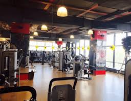 Gold S Gym Pune Satara Road Gyms In Pune Justdial