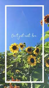 Inspiration Wallpaper Quotes Cute Wallpaper Backgrounds Sunflower Iphone Wallpaper