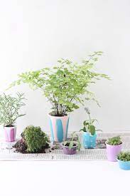 Check out our cups planter selection for the very best in unique or custom, handmade pieces from our shops. Easy Diy Starter Pots For Plants